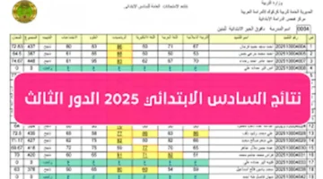 الآن.. اعرف درجاتك فورًا نتائج السادس الابتدائي 2025 الدور الثالث بالرقم الامتحاني عبر epedu.gov.iq